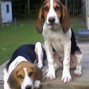 Meet your Posher, Kat